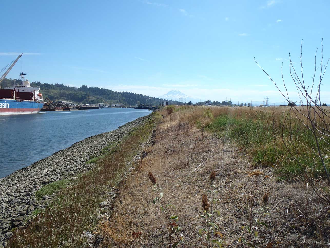 Site photo